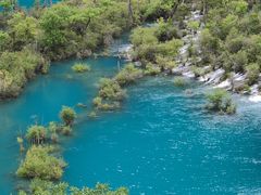 -九寨沟-树正沟