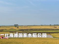 -红海滩国家风景廊道