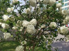 -大龙山(地铁站)