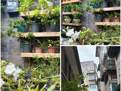 -花楸树下(观水路店)