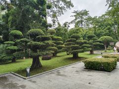 -南宁南湖公园