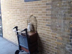 -九又四分之三站台