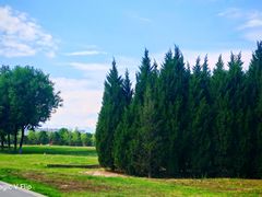 -汉长安城未央宫国家考古遗址公园