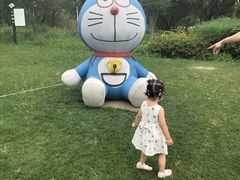 -长兴太湖图影湿地文化园