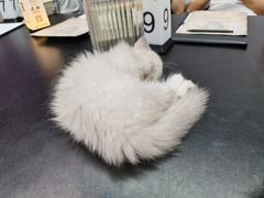 -无趣桌游狼人杀店