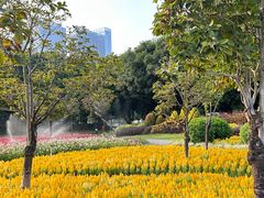 -文华公园(禅城区)