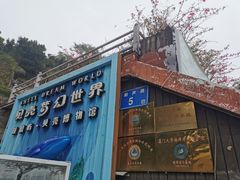 -贝壳梦幻世界