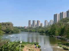 -重庆彩云湖湿地公园