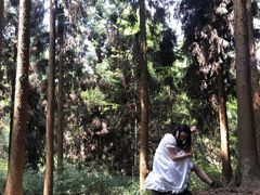 -山王坪喀斯特国家生态公园