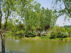 -东郊湿地公园