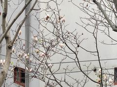 -乌山风景区