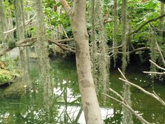 -南通洲际绿博园