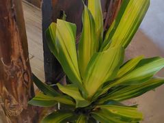 -民俗村柴火灶·景德江西菜(中国陶瓷博物馆店)