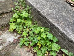 -石峰公园