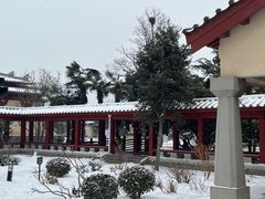 -洛阳古墓博物馆