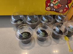 -麦当劳(药谷大道店)