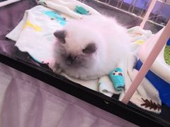 -乐汇城