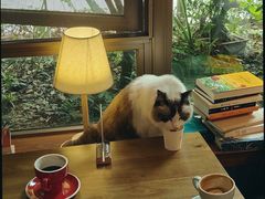 -咖法森林·咖啡  酒吧(天河店)