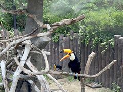 -上海野生动物园