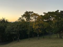 -飞凤山奥体公园