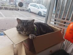 -平行世界·猫咖(首经贸店)