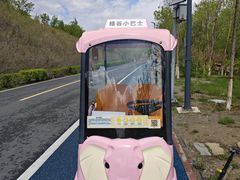 -小绿谷公园
