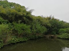 -汇龙潭