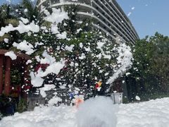 -味餐厅·海鲜·火锅·自助餐