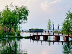 -洱海月湿地公园