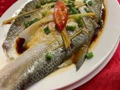清蒸/红烧马友鱼-蛇口康乐快餐鱼仔档(翠苑小区店)