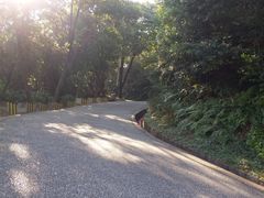 -广州市帽峰山景区