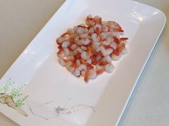 -蝶园·装修中(BFC外滩金融中心店)