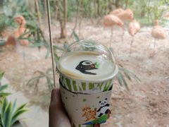 -ZOO COFFEE动物园咖啡(红山森林动物园店)