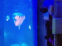 -汤W城市微度假(仓山店)