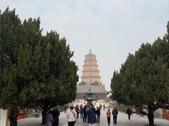 -大慈恩寺(大雁塔)