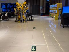 -华美国际影城(旧宫永辉店)