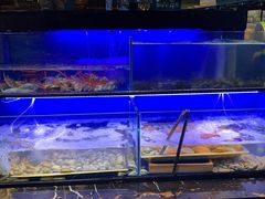 水产区-苏格里岛自助海鲜烤肉(青秀万达店)