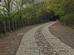 -上海佘山国家森林公园西佘山园