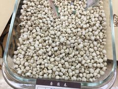 -杏园春(景泰店)