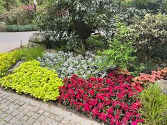 -杭州植物园