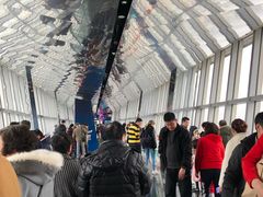 -上海环球金融中心云端足球盛典