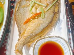 香煎大黄鱼-蚝魁·海鲜大排档·啫啫·生蚝(体育西店)