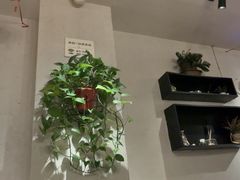 -乔街深夜食堂·台州菜·高压锅生蚝(杭州总店)
