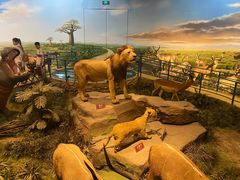 -陕西自然博物馆