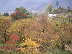 -塔川景区