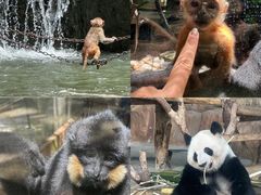 -谜森·小吃酒馆(上河城店)