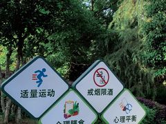 -九华山公园