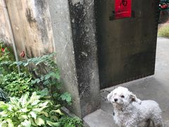 -西溪南古村落