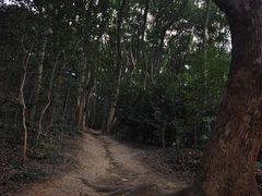 -赭山公园
