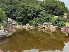 -北京西山国家森林公园